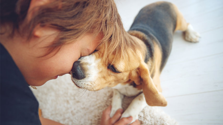Hunde und Kinder - so klappt das Zusammenleben