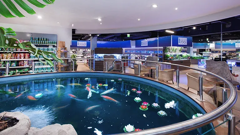 Wien Highlight 2 011bd46893