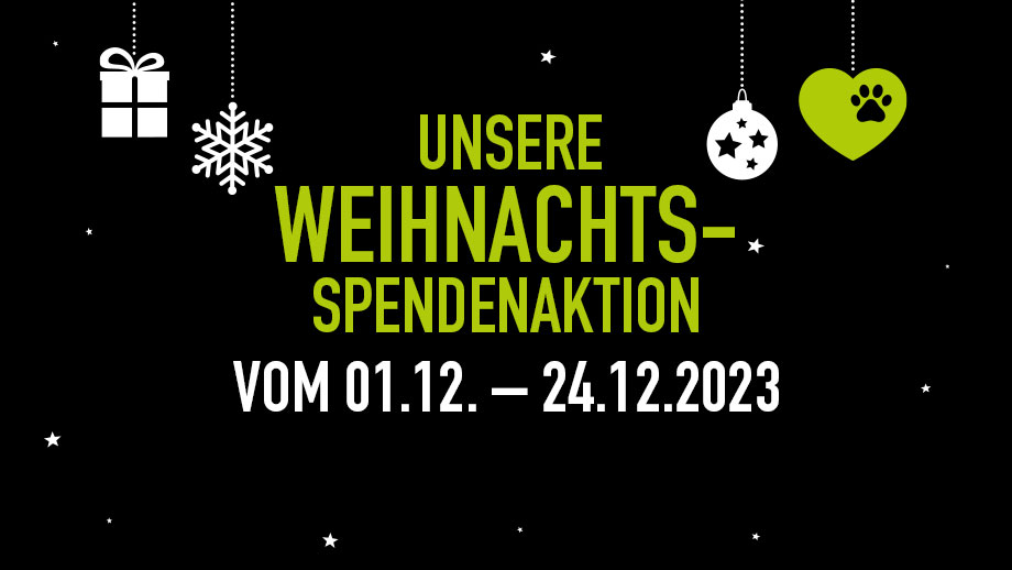 Koelle Zoo Wunschzettelaktion Teaser