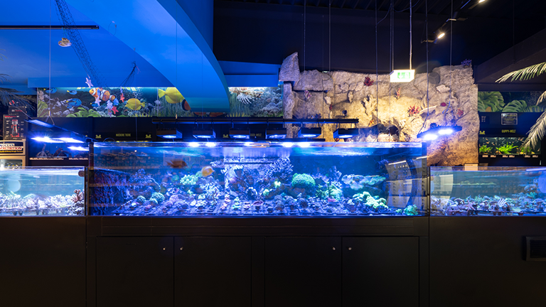 Nuernberg Impression 4