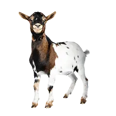 Hobbyfarming Produkttipps 9b5bfb35e1