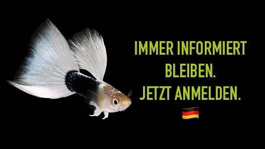 Nl Footer Highlight Anmelden De D239f4f55b