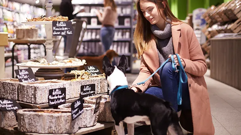 Saarbruecken Highlight 1 55a63c62f7