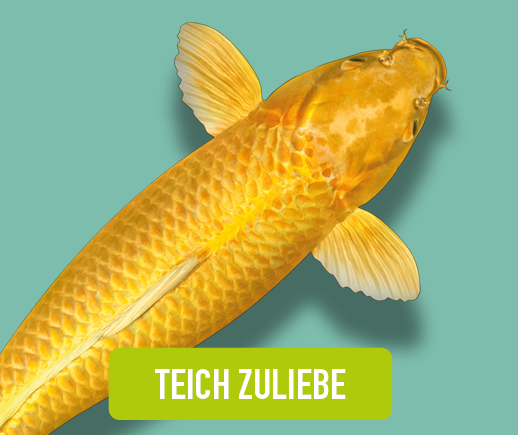 Teichgartensortiment Lp